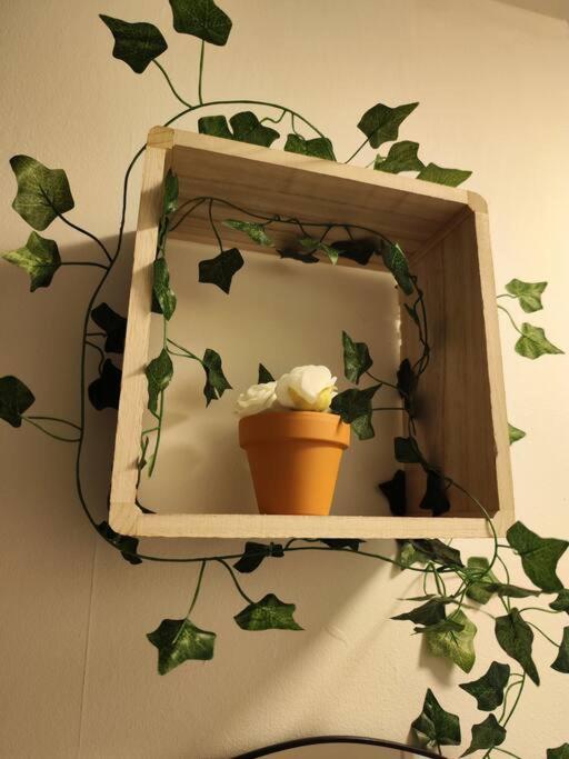 Appartement Le Cocon Manceau à Le Mans Extérieur photo